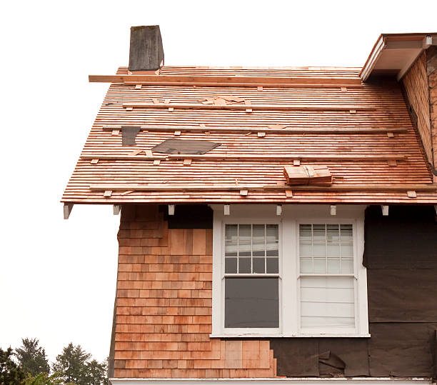 Affordable Siding Repair and Maintenance Services in Lattingtown, NY